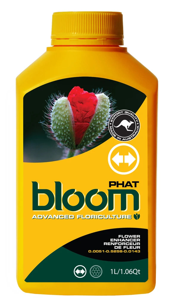 Bloom <span>Phat</span>