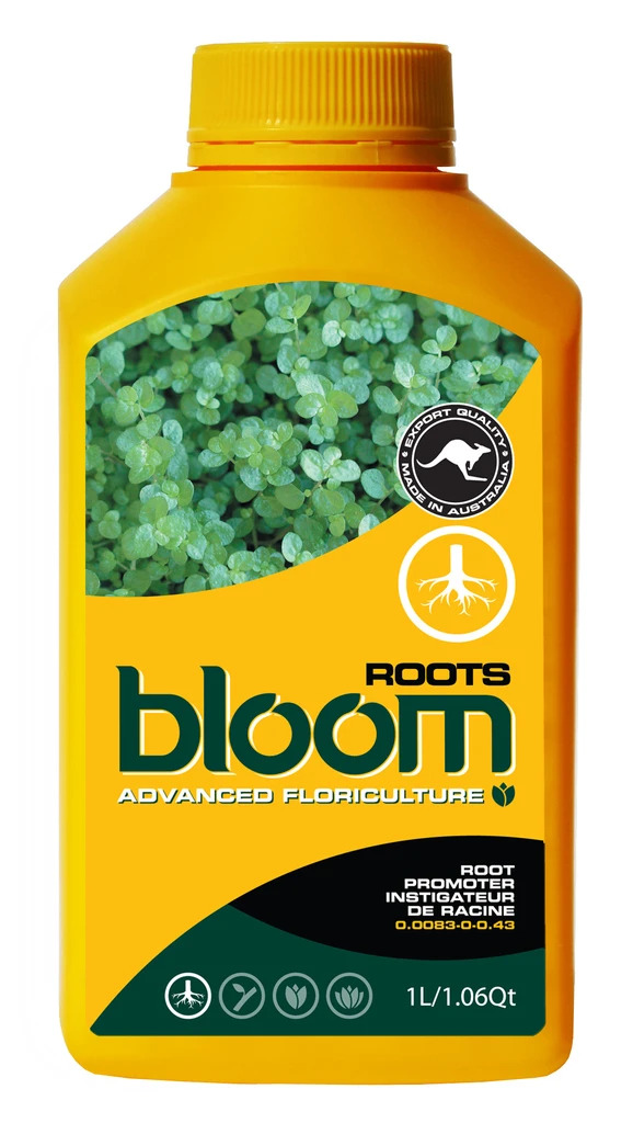 Bloom <span>Roots</span>