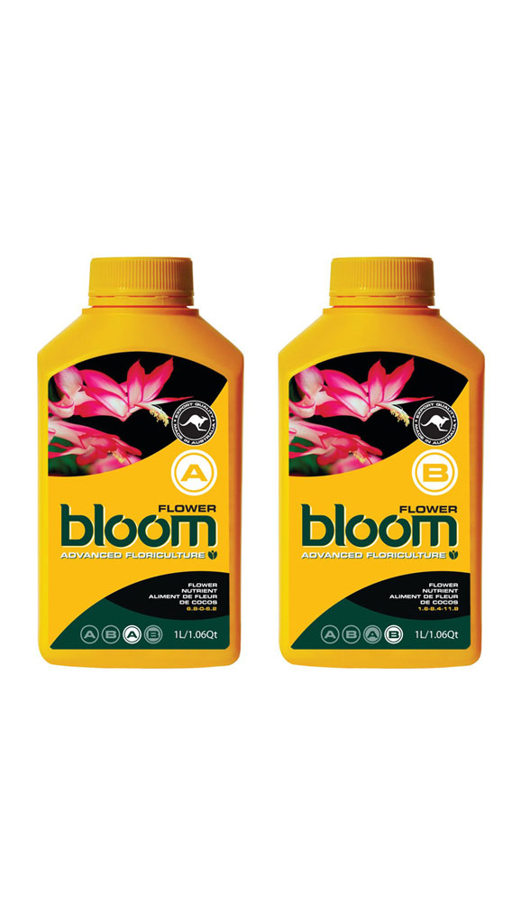 Bloom <span>Flower A & B</span>