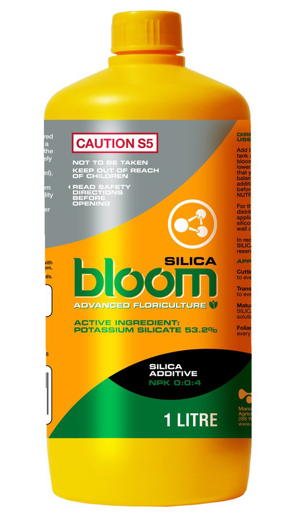 Bloom <span>Silica</span>